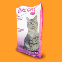 care-cat