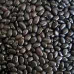 frijol-negro