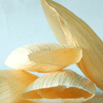 hojas-para-tamal