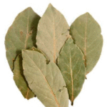 laurel